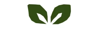 semeadura_2